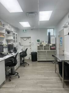 WhatsApp Image 2024-07-12 at 9.17.57 AM